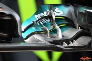 Delicate front wing feature - VG ahead of downstream strakes